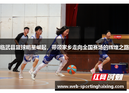 临武县篮球明星崛起，带领家乡走向全国赛场的辉煌之路